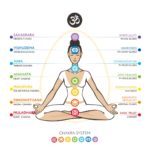 chakras-system-of-human-body-used-in-hinduism-buddhism-and-ayurveda-vector-id1126233125